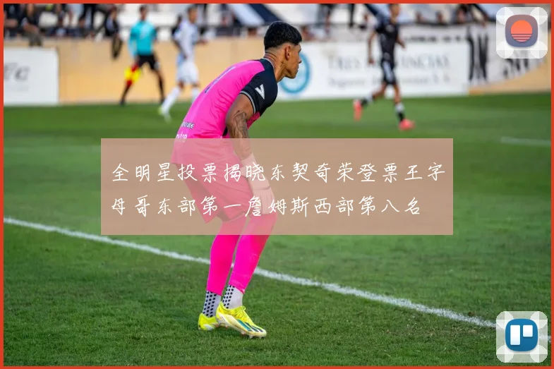 全明星投票揭晓东契奇荣登票王字母哥东部第一詹姆斯西部第八名